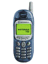 Best available price of Motorola T190 in Slovenia