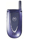 Best available price of Motorola V66i in Slovenia